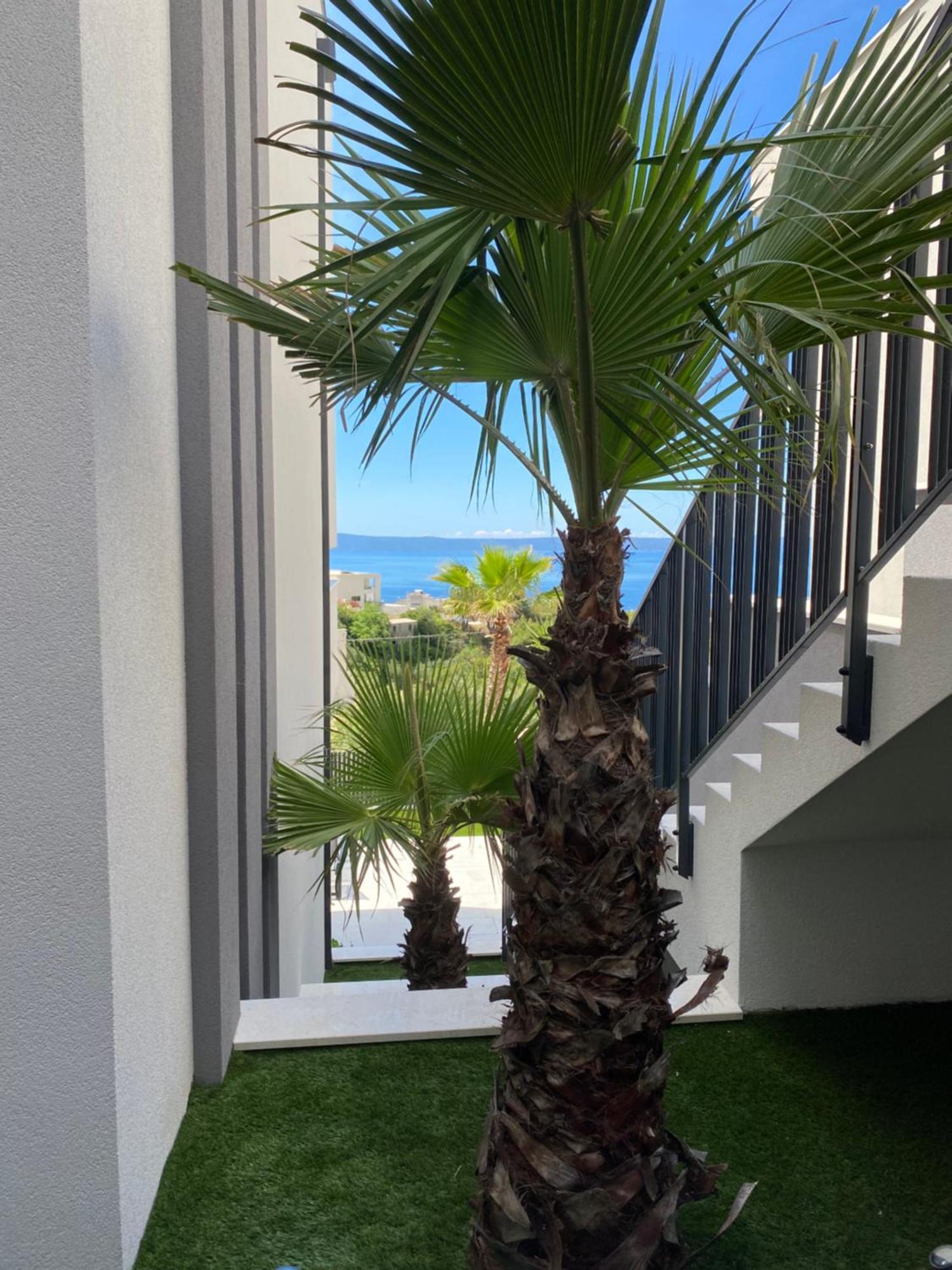 Villa 5 Makarska Eksteriør billede