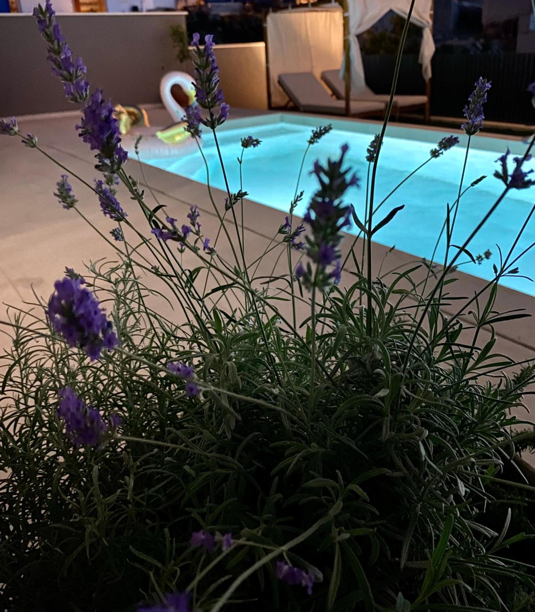 Villa 5 Makarska Eksteriør billede